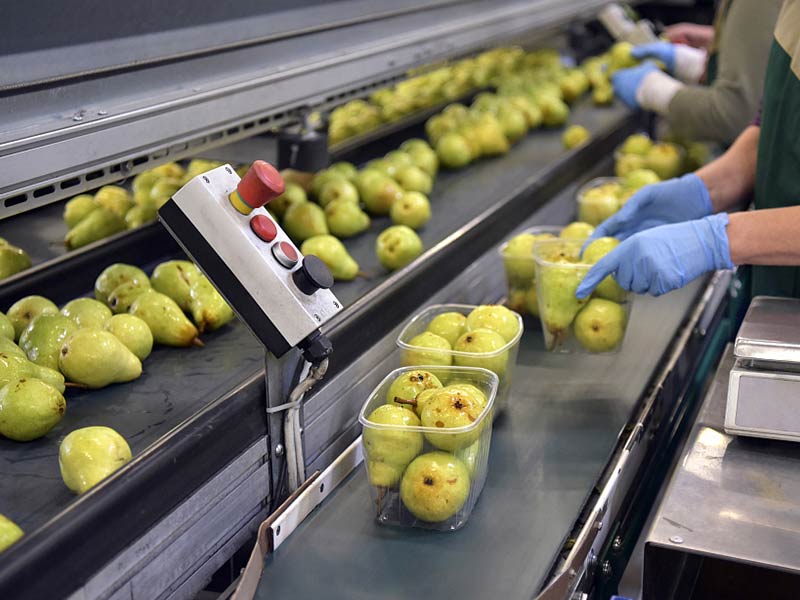 水果輸送應用案例